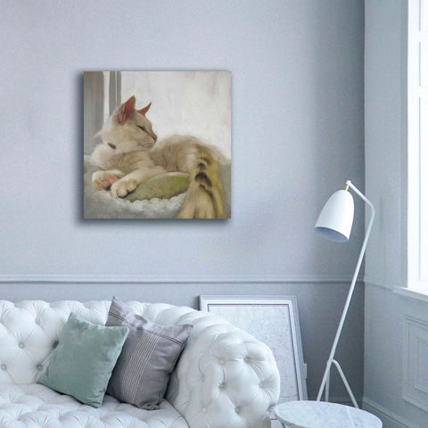 Image of 'Through the Window' by Diane Hoeptner, Giclee Canvas Wall Art,37x37