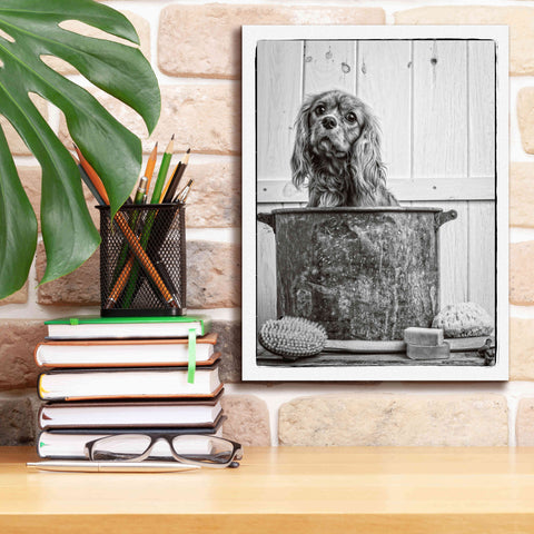 Image of 'Vintage Puppy Bath' by Edward M. Fielding, Giclee Canvas Wall Art,12x16