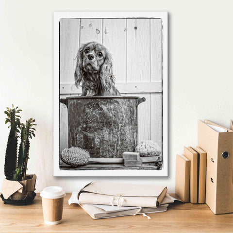 Image of 'Vintage Puppy Bath' by Edward M. Fielding, Giclee Canvas Wall Art,18x26