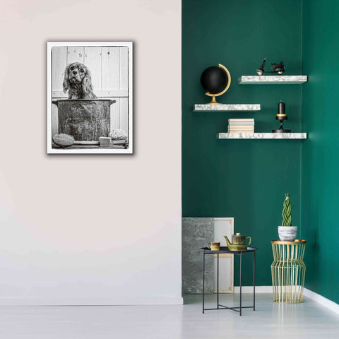 Image of 'Vintage Puppy Bath' by Edward M. Fielding, Giclee Canvas Wall Art,26x34