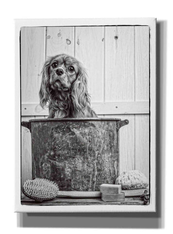Image of 'Vintage Puppy Bath' by Edward M. Fielding, Giclee Canvas Wall Art