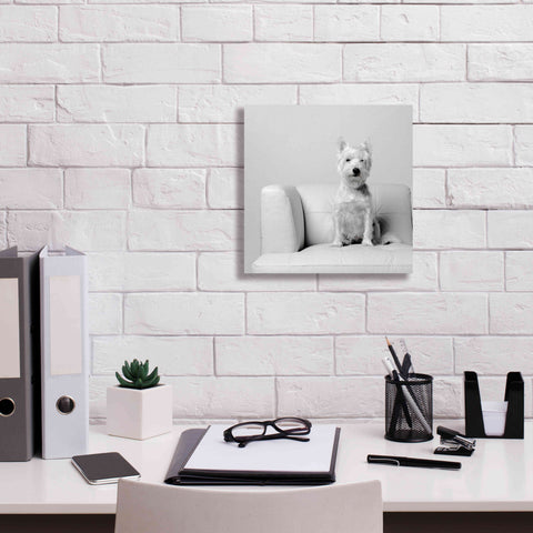 Image of 'White on White' by Edward M. Fielding, Giclee Canvas Wall Art,12x12