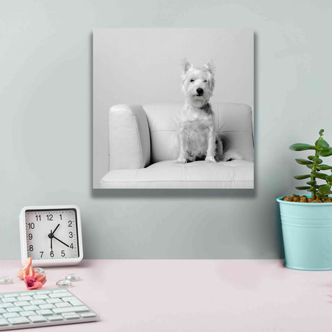 Image of 'White on White' by Edward M. Fielding, Giclee Canvas Wall Art,12x12