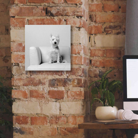 Image of 'White on White' by Edward M. Fielding, Giclee Canvas Wall Art,12x12