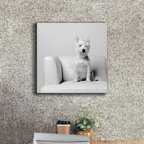 Image of 'White on White' by Edward M. Fielding, Giclee Canvas Wall Art,18x18