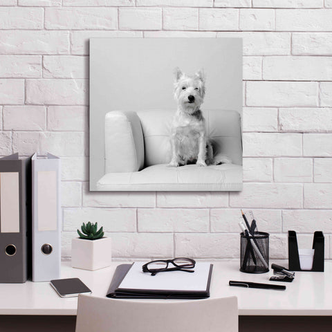 Image of 'White on White' by Edward M. Fielding, Giclee Canvas Wall Art,18x18