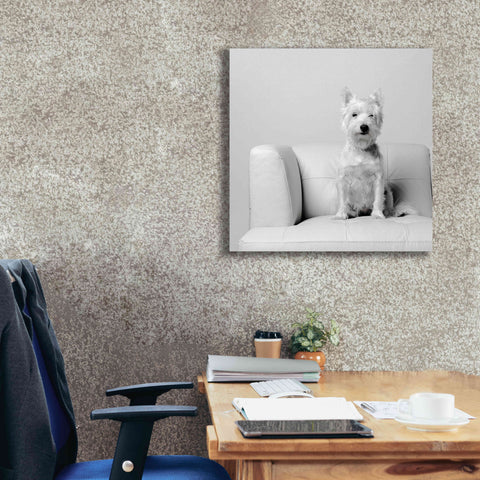 Image of 'White on White' by Edward M. Fielding, Giclee Canvas Wall Art,26x26