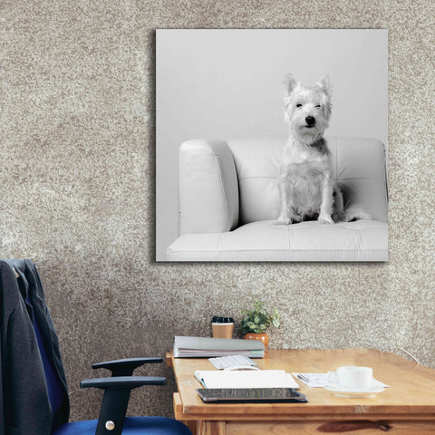 Image of 'White on White' by Edward M. Fielding, Giclee Canvas Wall Art,37x37