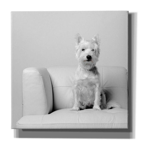 Image of 'White on White' by Edward M. Fielding, Giclee Canvas Wall Art