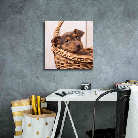Image of 'Puppy in a Basket' by Edward M. Fielding, Giclee Canvas Wall Art,18x18