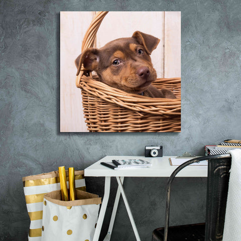 Image of 'Puppy in a Basket' by Edward M. Fielding, Giclee Canvas Wall Art,26x26