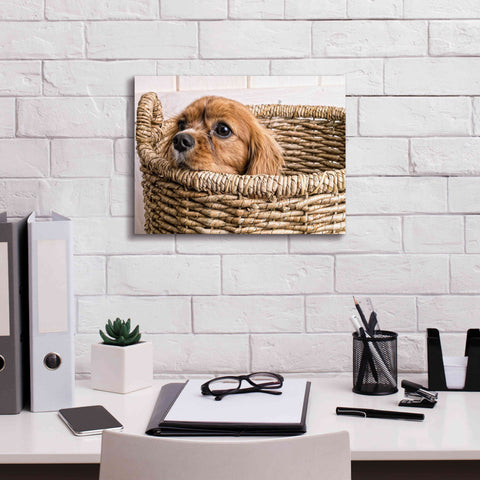 Image of 'Puppy in a Laundry Basket' by Edward M. Fielding, Giclee Canvas Wall Art,16x12