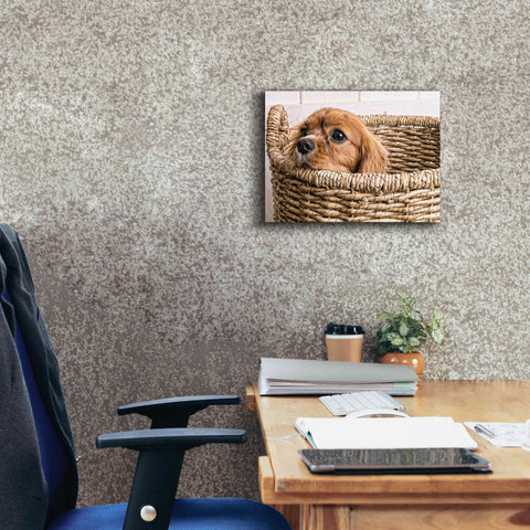 Image of 'Puppy in a Laundry Basket' by Edward M. Fielding, Giclee Canvas Wall Art,16x12