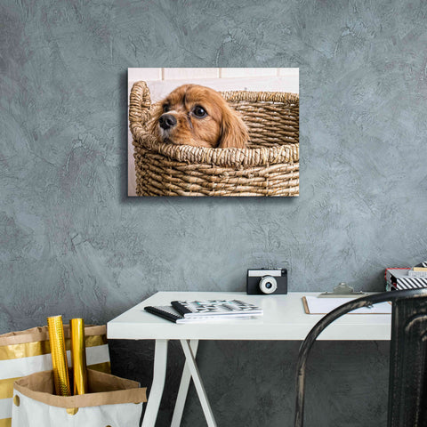Image of 'Puppy in a Laundry Basket' by Edward M. Fielding, Giclee Canvas Wall Art,16x12