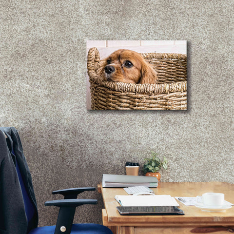 Image of 'Puppy in a Laundry Basket' by Edward M. Fielding, Giclee Canvas Wall Art,26x18