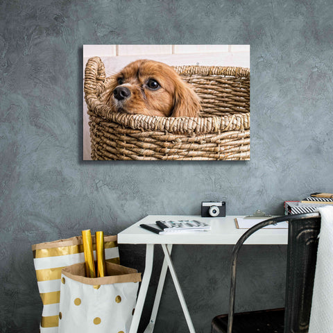 Image of 'Puppy in a Laundry Basket' by Edward M. Fielding, Giclee Canvas Wall Art,26x18