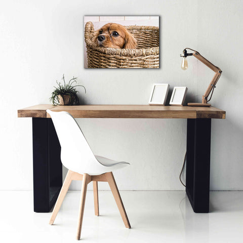 Image of 'Puppy in a Laundry Basket' by Edward M. Fielding, Giclee Canvas Wall Art,26x18