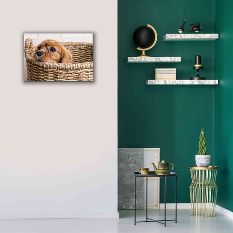 Image of 'Puppy in a Laundry Basket' by Edward M. Fielding, Giclee Canvas Wall Art,26x18
