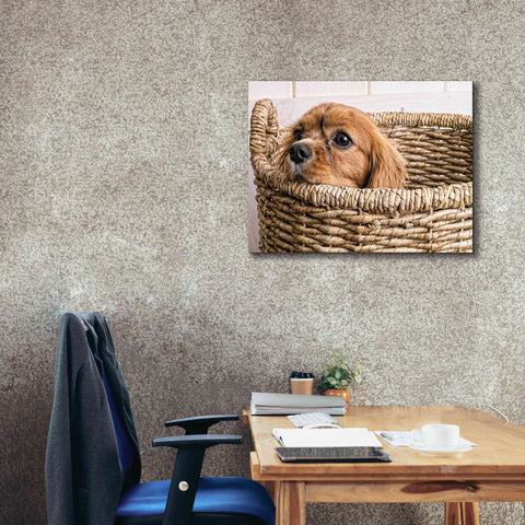 Image of 'Puppy in a Laundry Basket' by Edward M. Fielding, Giclee Canvas Wall Art,34x26