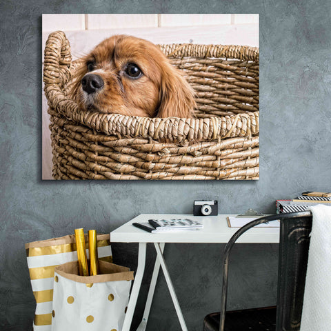 Image of 'Puppy in a Laundry Basket' by Edward M. Fielding, Giclee Canvas Wall Art,34x26