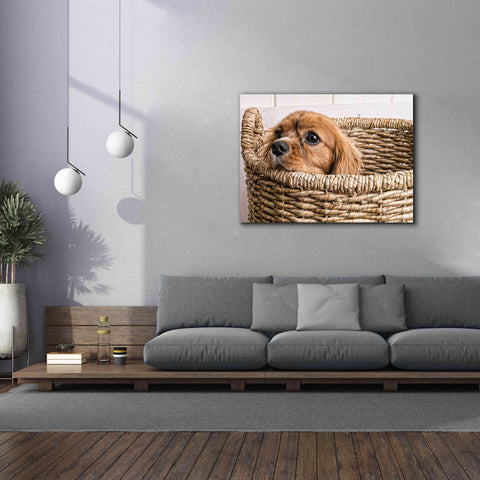 Image of 'Puppy in a Laundry Basket' by Edward M. Fielding, Giclee Canvas Wall Art,54x40