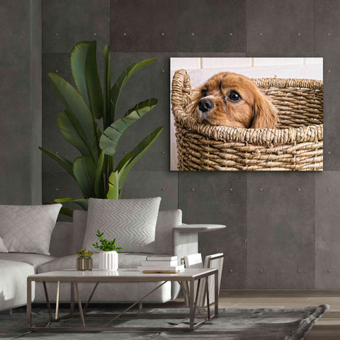 Image of 'Puppy in a Laundry Basket' by Edward M. Fielding, Giclee Canvas Wall Art,54x40