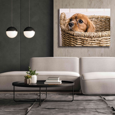 Image of 'Puppy in a Laundry Basket' by Edward M. Fielding, Giclee Canvas Wall Art,54x40