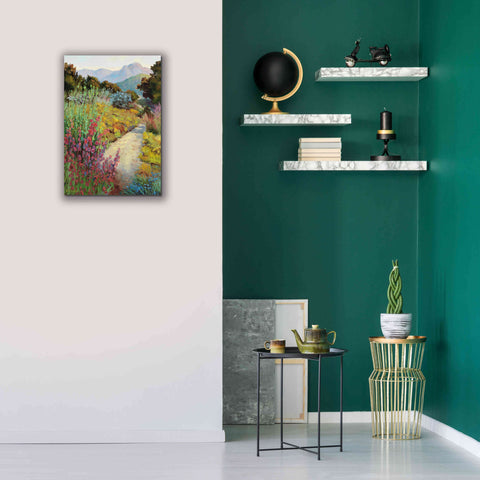 Image of 'Garden Path' by Ellie Freudenstein, Giclee Canvas Wall Art,18x26