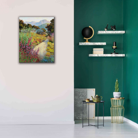 Image of 'Garden Path' by Ellie Freudenstein, Giclee Canvas Wall Art,26x34