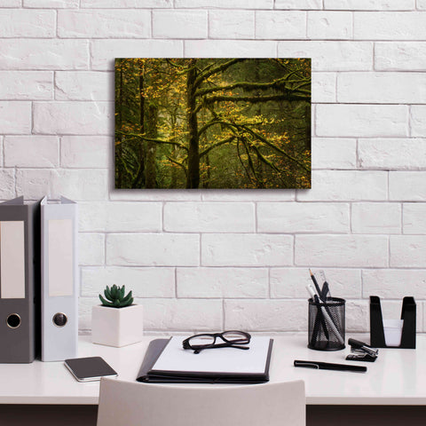 Image of 'Golden Drops' by Enrico Fossati, Giclee Canvas Wall Art,18x12