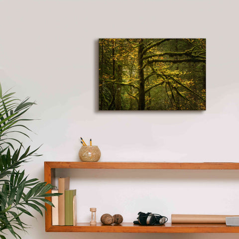 Image of 'Golden Drops' by Enrico Fossati, Giclee Canvas Wall Art,18x12