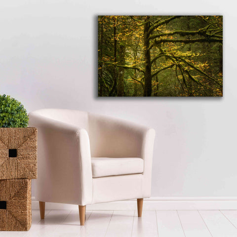 Image of 'Golden Drops' by Enrico Fossati, Giclee Canvas Wall Art,40x26