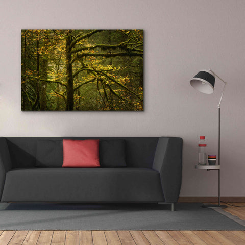 Image of 'Golden Drops' by Enrico Fossati, Giclee Canvas Wall Art,60x40