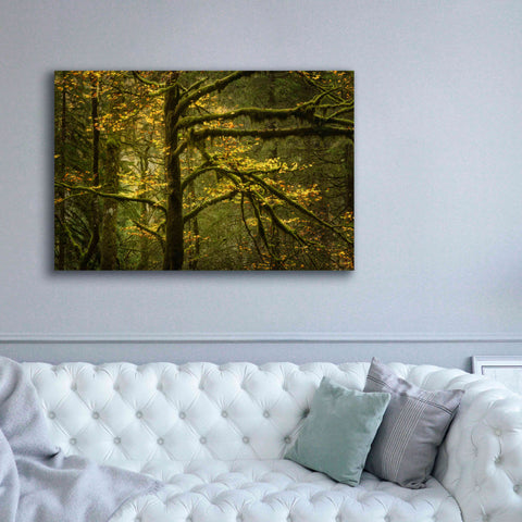 Image of 'Golden Drops' by Enrico Fossati, Giclee Canvas Wall Art,60x40