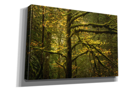 Image of 'Golden Drops' by Enrico Fossati, Giclee Canvas Wall Art