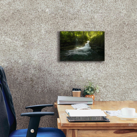 Image of 'Stream of Life' by Enrico Fossati, Giclee Canvas Wall Art,18x12