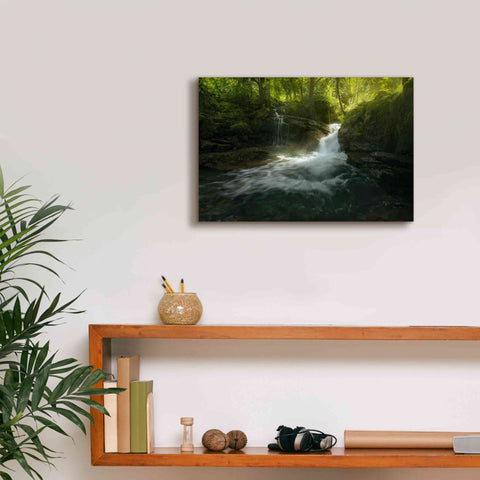 Image of 'Stream of Life' by Enrico Fossati, Giclee Canvas Wall Art,18x12