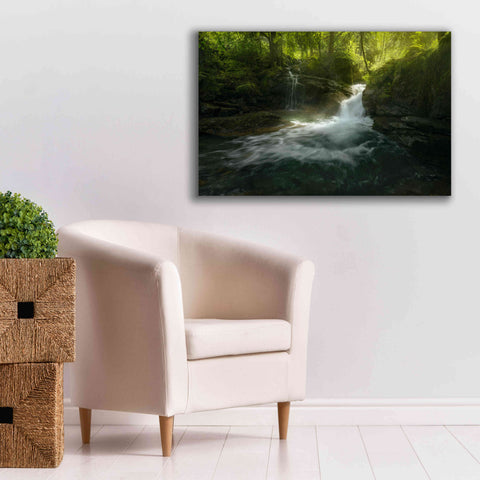 Image of 'Stream of Life' by Enrico Fossati, Giclee Canvas Wall Art,40x26