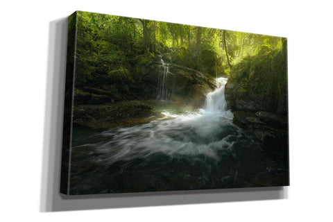 Image of 'Stream of Life' by Enrico Fossati, Giclee Canvas Wall Art