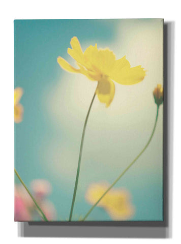 Image of 'Summer Breeze' by Kim Fearheiley, Giclee Canvas Wall Art