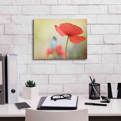 Image of 'Poppy' by Kim Fearheiley, Giclee Canvas Wall Art,16x12
