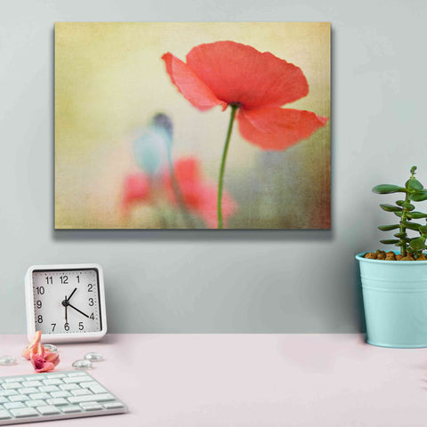 Image of 'Poppy' by Kim Fearheiley, Giclee Canvas Wall Art,16x12