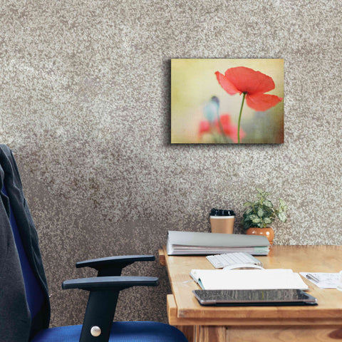 Image of 'Poppy' by Kim Fearheiley, Giclee Canvas Wall Art,16x12