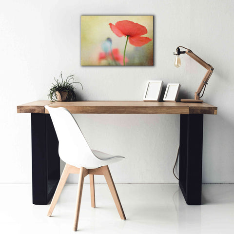 Image of 'Poppy' by Kim Fearheiley, Giclee Canvas Wall Art,26x18