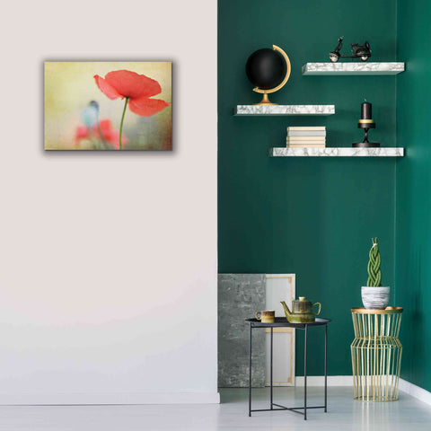 Image of 'Poppy' by Kim Fearheiley, Giclee Canvas Wall Art,26x18