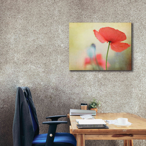 Image of 'Poppy' by Kim Fearheiley, Giclee Canvas Wall Art,34x26