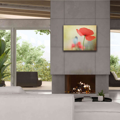 Image of 'Poppy' by Kim Fearheiley, Giclee Canvas Wall Art,34x26