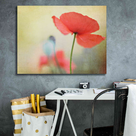 Image of 'Poppy' by Kim Fearheiley, Giclee Canvas Wall Art,34x26