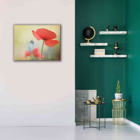 Image of 'Poppy' by Kim Fearheiley, Giclee Canvas Wall Art,34x26