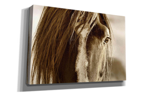 Image of 'Amante' by Lisa Dearing, Giclee Canvas Wall Art